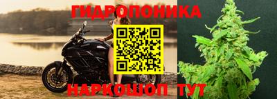 дурь Тверь