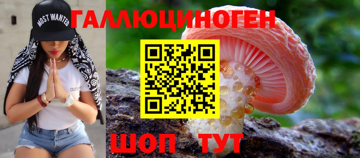 ЭКСТАЗИ  Новоалтайск  Кетамин  Мефедрон   Меф МЯУ МЯУ  ГАШ  Вход с VPN  Бошки Шишки 
