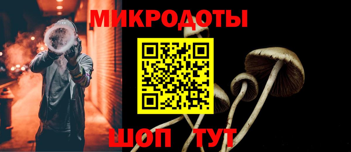 Псилоцибиновые грибы Cubensis  Псилоцибиновые грибы Cubensis  Вход с VPN  Новоалтайск 